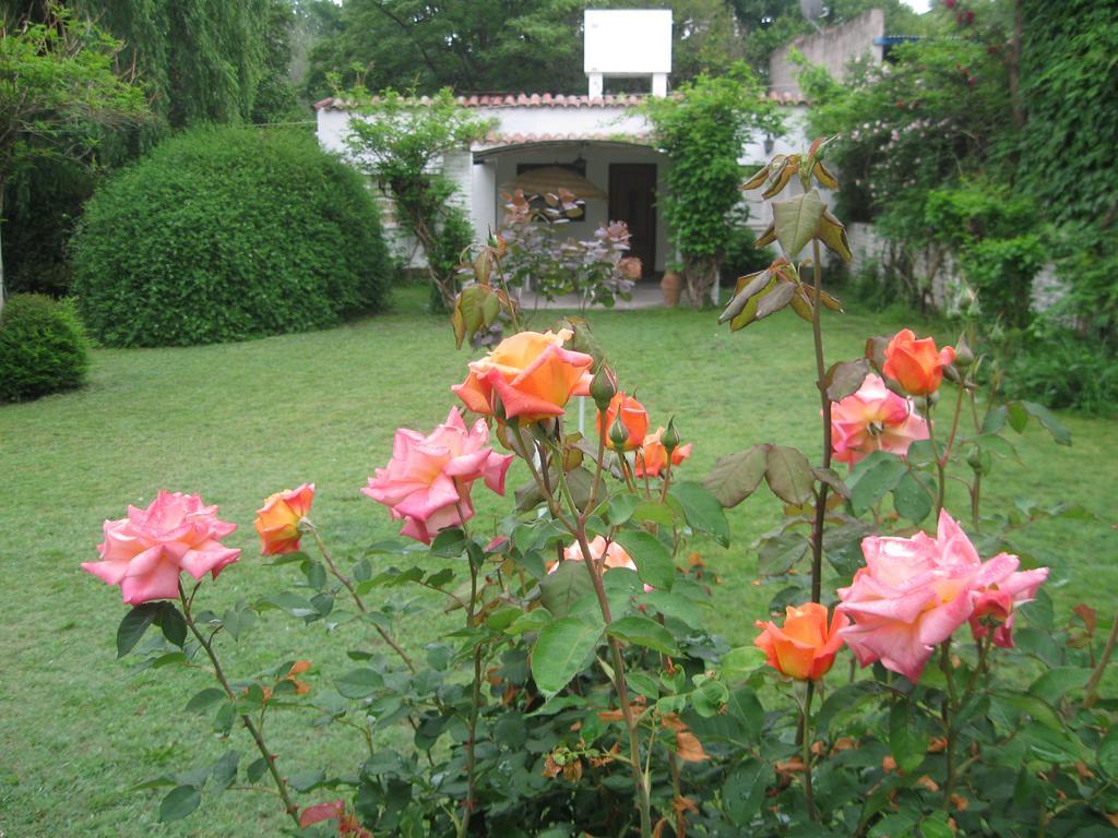 La Casa De Almirall Santa Rosa de Calamuchita Extérieur photo